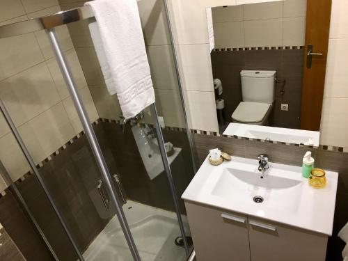 a bathroom with a shower and a sink and a toilet at Oupen de dor San Blas in Zaragoza