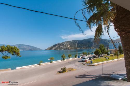 a street next to a lake with a palm tree at Antikyra Beach Hotel in Antikyra