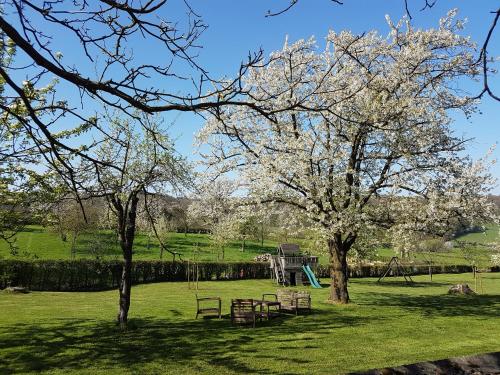 Buitenverblijf 't Herfse – Photos 5