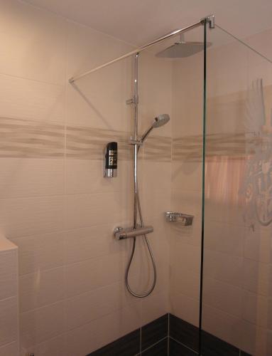 a shower with a shower head and a glass door at Pension Antik in Bad Lobenstein