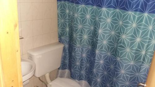 a bathroom with a toilet and a blue shower curtain at Cabañas Palo Blanco in Gobernador Costa