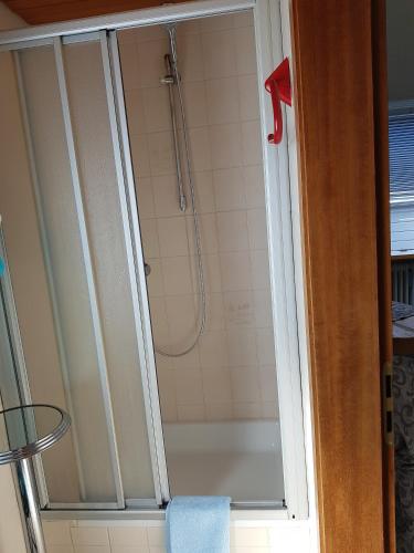 a shower with a glass door in a bathroom at Galerie-Apartment in Wendelstein
