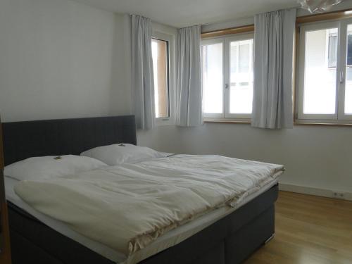 佛萊堡的住宿－小維納斯公寓，一间卧室配有一张带白色床单和窗户的床。