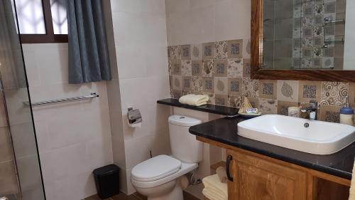 a bathroom with a toilet and a sink and a mirror at Drake Seaside Studio Apartments in Bel Ombre