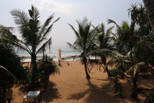 a sandy beach with palm trees and the ocean at Dreamvillage in Dodanduwa