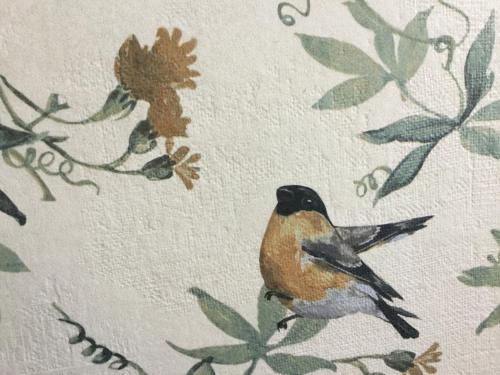 Billede fra billedgalleriet på Casa Melva i Barreiros