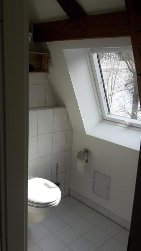 a bathroom with a toilet and a window at Ferienwohnung Richtermühle in Saupsdorf