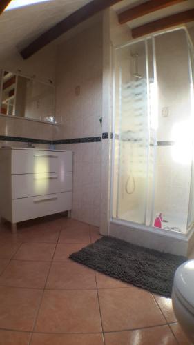 a bathroom with a shower and a sink at Chez Loly in Trébeurden