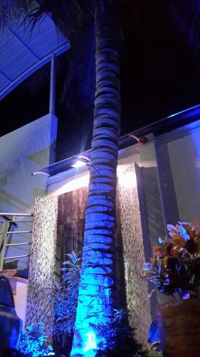 Imagen de la galería de Tropical Resort Tocaima, en Tocaima