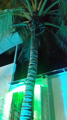 Imagen de la galería de Tropical Resort Tocaima, en Tocaima