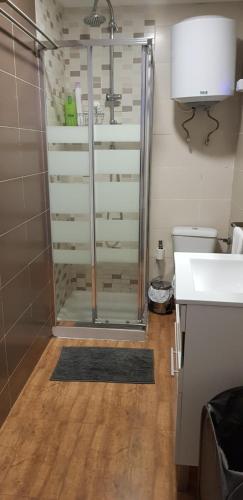 a bathroom with a shower and a sink and a toilet at M&F Apartments Sol in Madrid