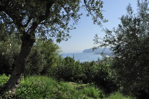 Φυσικό τοπίο κοντά σε αυτό το διαμέρισμα