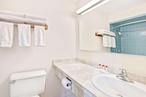 a bathroom with a sink and a toilet and a mirror at Ramada by Wyndham Flemington in Flemington