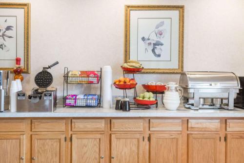 a kitchen counter with a mixer and fruit on it at Ramada by Wyndham Strasburg Dover in Strasburg