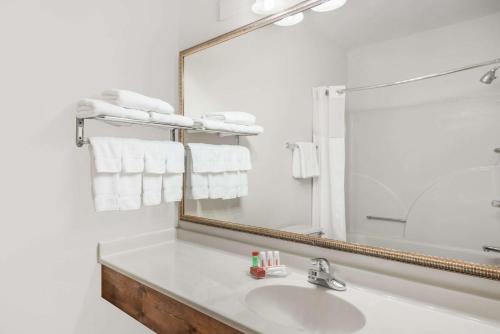 Kylpyhuone majoituspaikassa Ramada by Wyndham Columbia