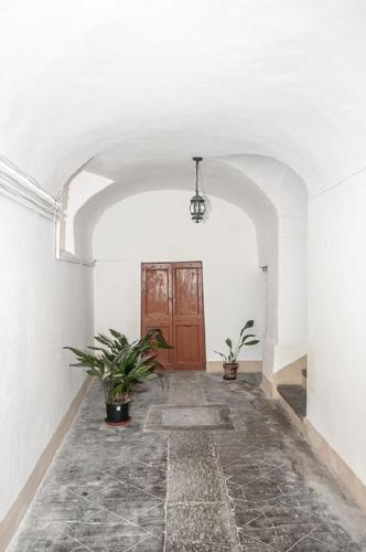 a hallway with potted plants and a wooden door at Casa Maria e Casa Cristina in Orvieto