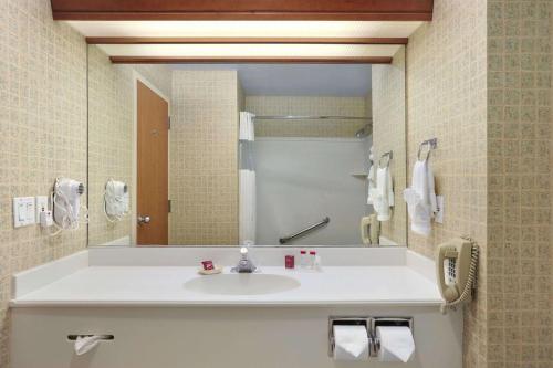 a bathroom with a sink and a mirror at Ramada by Wyndham Olympia in Olympia