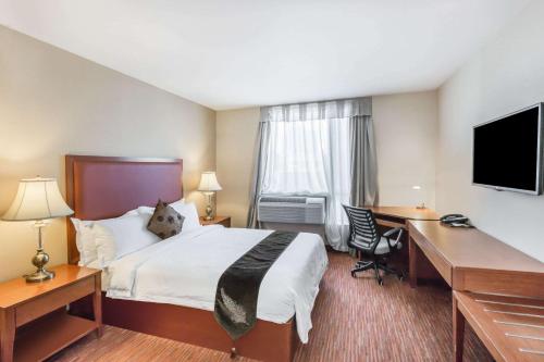 a hotel room with a bed and a desk at Ramada by Wyndham Flushing Queens in Queens