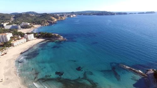an aerial view of a beach and the ocean at Hotel Creta Paguera in Paguera