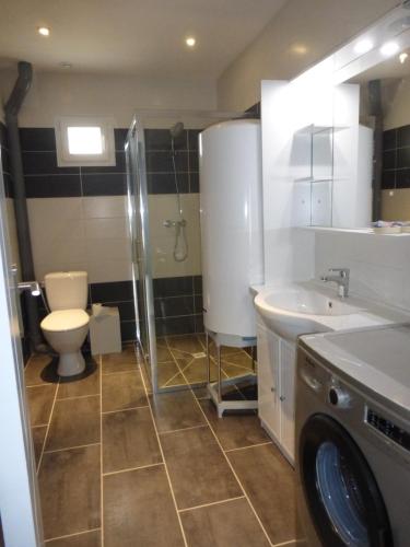 ein Bad mit einem WC, einem Waschbecken und einer Waschmaschine in der Unterkunft Appartement Chez José in Albert