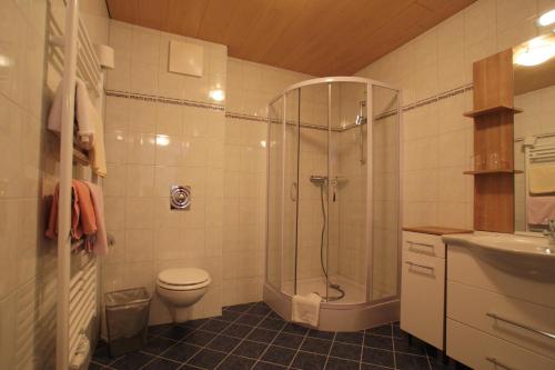 a bathroom with a shower and a toilet and a sink at Hotel Hubertus in Mallnitz