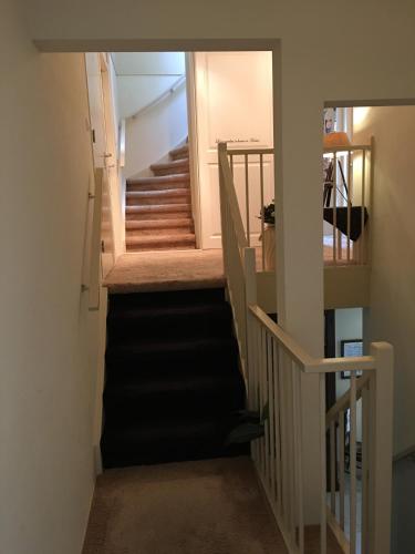 Gallery image of Kluiskade 24 Maasland in Maasland