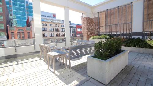 Era Suite Living on Yates – Photos 2