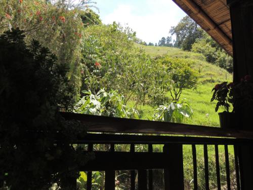 a balcony of a house with a view of a field at Ecorefugio Las Mirlas in Salento