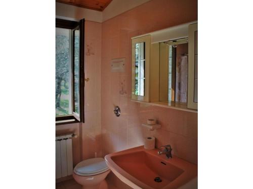 a bathroom with a sink and a toilet and a mirror at casa caberlon in Malcesine