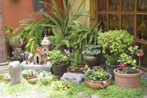 a group of potted plants in pots on the ground at "LLipimpac Guesthouse" in Cusco