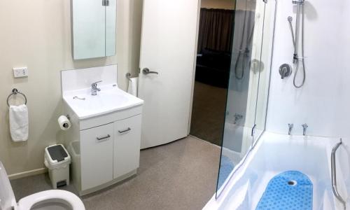 a bathroom with a sink and a shower and a toilet at Crow's Nest in Picton