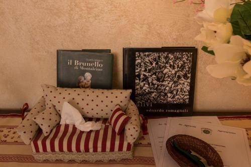 a shelf with books and a pillow on a table at Wine Resort Colsereno in Montalcino