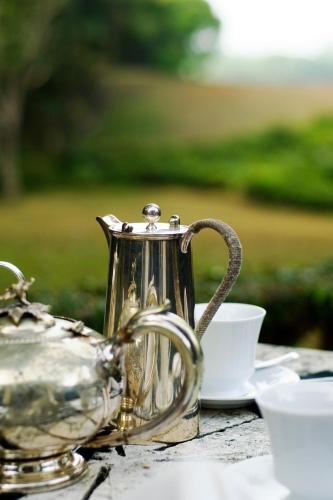 a silver tea kettle and a cup on a table at Lunuganga Estate in Bentota