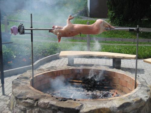 a horse jumping over a brick fire pit at Hotel Restaurant Sternen in Obstalden