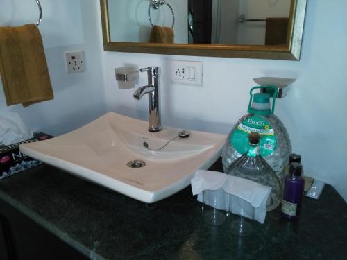 a bathroom sink with a bottle of detergent next to it at Samira's Birds & Butterflies Park-Spashram Ganga Beach Retreat in Rishīkesh