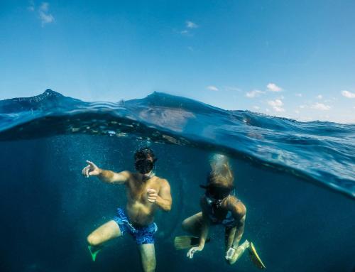 two men swimming in the water in the ocean at Manta Lodge & Scuba Centre in Point Lookout