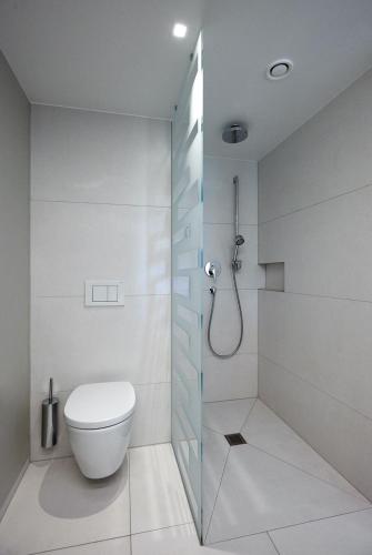 a bathroom with a toilet and a shower at APPADU Appartements in St. Gallen