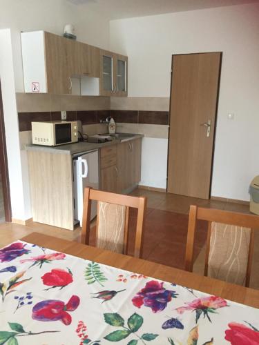 Kuchyň nebo kuchyňský kout v ubytování Promenád apartmány