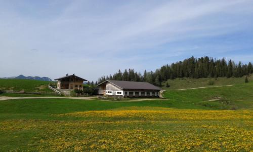 a house on a hill with a field of flowers at Moahof in Alpbach
