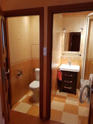 ウストシキ・ドルネにあるApartament 23のバスルーム(トイレ、洗面台、鏡付)