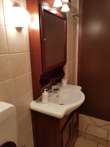 a bathroom with a sink and a mirror and a toilet at Casa Vacanze Corteno Golgi Aprica in Alpe Strencia