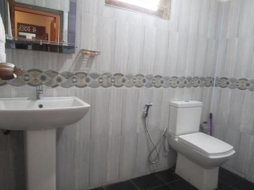 a bathroom with a toilet and a sink at Green Herbal Ayurvedic Eco-Lodge in Galle