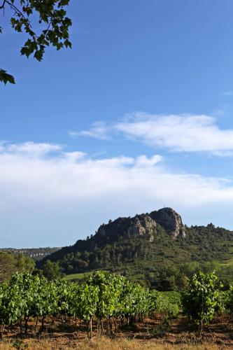a view of a vineyard with a mountain in the background at Logis Hôtel LE PRESSOIR in Saint-Chinian