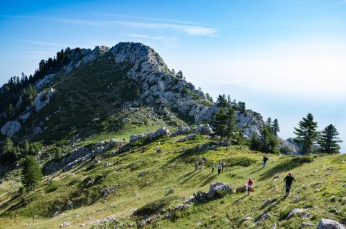a group of people on a grassy hill with a mountain at Hotel Kroupi in Elati Trikalon