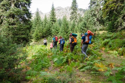 a group of people walking on a trail in the woods at Hotel Kroupi in Elati Trikalon