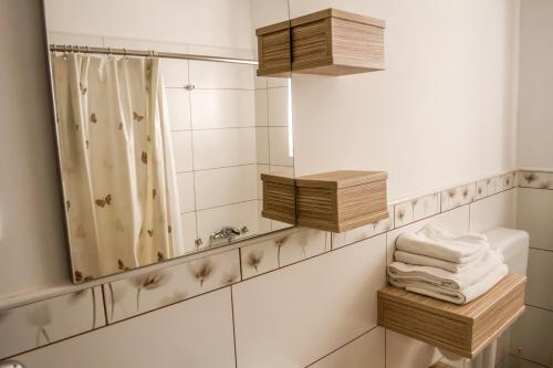 La salle de bains est pourvue d'un miroir, d'une douche et de serviettes. dans l'établissement Apartment & rooms Grmek, à Postojna
