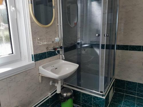 a bathroom with a sink and a shower at Vila Zdenka in Vysoké Tatry