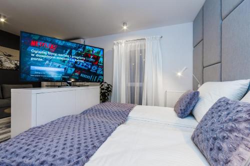 TV a/nebo společenská místnost v ubytování Zigzak Apartments Superior 9C
