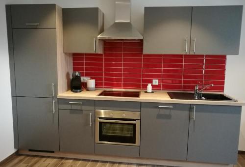 a kitchen with gray cabinets and a red tile wall at Beim Hooch "Johanna" in Brücktal