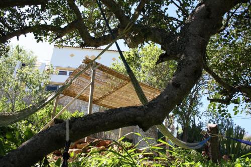 Κήπος έξω από το Hostel on the Hill